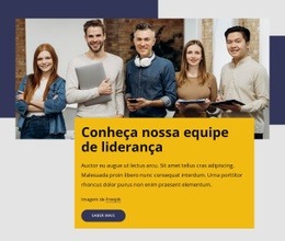 Profissionais Experientes - Builder HTML