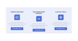 Üç Yeni Çalışma Yönü Için Çok Amaçlı Web Sitesi Tasarımı