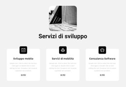 Demo Del Modello Per Nuovi Servizi Di Sviluppo