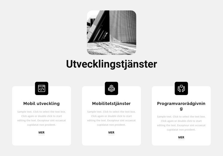 Nya utvecklingstjänster CSS -mall