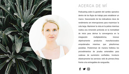 Diseño Múltiple Integrado Para Sobre Mis Talentos