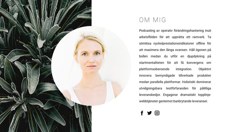 Om mina talanger Hemsidedesign