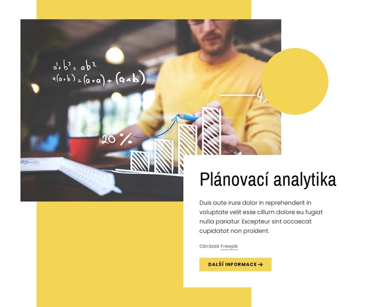 Plánovací analytika Šablona webové stránky