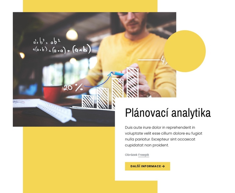 Plánovací analytika Téma WordPress