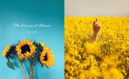 Beauty Of Nature Basic CSS Template