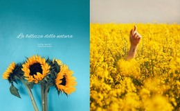 Bellezza Della Natura - Design Moderno Del Sito