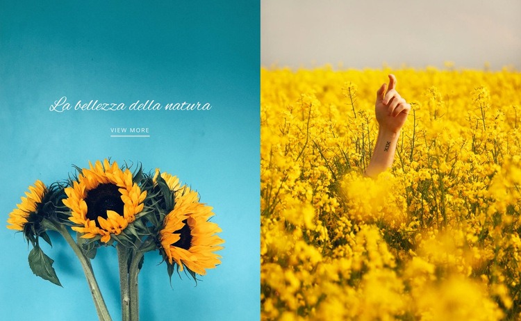 Bellezza della natura Mockup del sito web