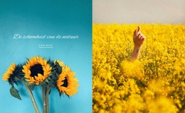 Schoonheid Van De Natuur - Gratis Sjabloon