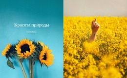 Красота Природы – Одностраничный Шаблон
