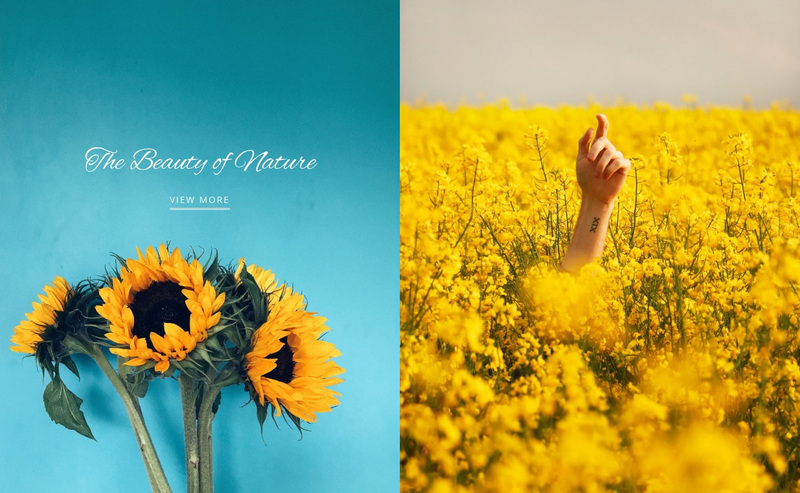Beauty of nature Squarespace Template Alternative
