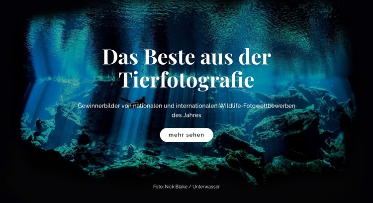 Beste Tierfotografie CSS-Vorlage