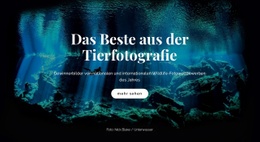 Beste Tierfotografie - Responsives Website-Modell