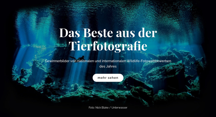 Beste Tierfotografie Website-Vorlage