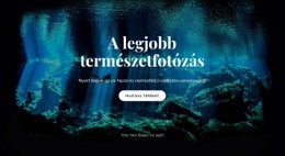 Reszponzív HTML A Következőhöz: A Legjobb Vadvilág Fényképezés