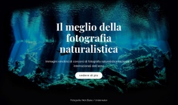 Miglior Fotografia Naturalistica - HTML File Creator