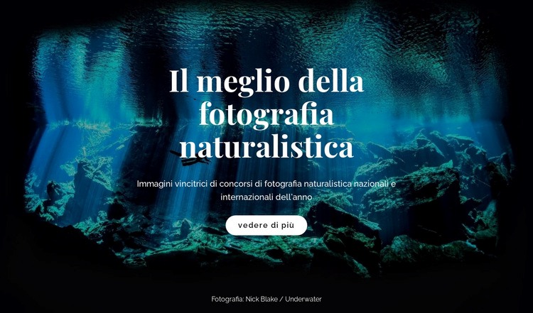 Miglior fotografia naturalistica Costruttore di siti web HTML