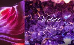 Kreativste Einseitenvorlage Für Violetter Farbtrend