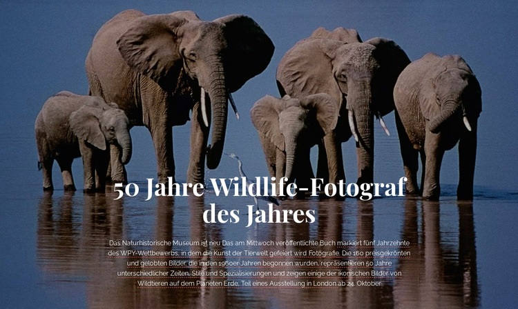 Tierfotografie Afrika HTML Website Builder