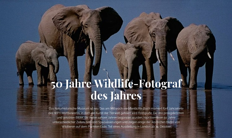 Tierfotografie Afrika HTML5-Vorlage