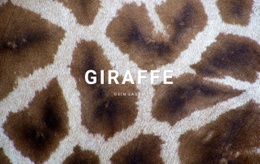 Giraffen Fakten Videobestand