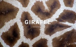 Giraffen Fakten – Webseiten-Mockup Erstellen