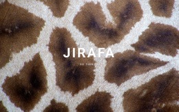 Datos De La Jirafa: Crear Una Maqueta De Página Web
