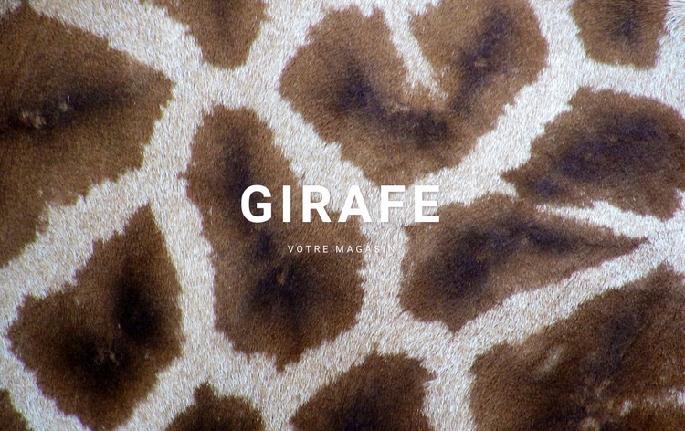  Faits sur la girafe Maquette de site Web
