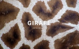 Faits Sur La Girafe - Modèle D'Une Page