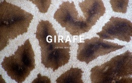 Faits Sur La Girafe - Belle Page De Destination