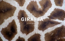 Fatti Della Giraffa - Crea Un Modello Di Pagina Web