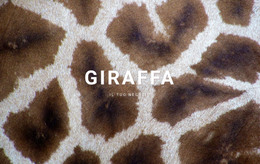 Pagina Web Per Fatti Della Giraffa