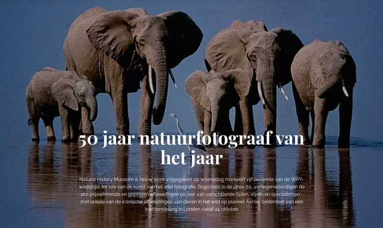 Wildlife fotografie Afrika Bestemmingspagina