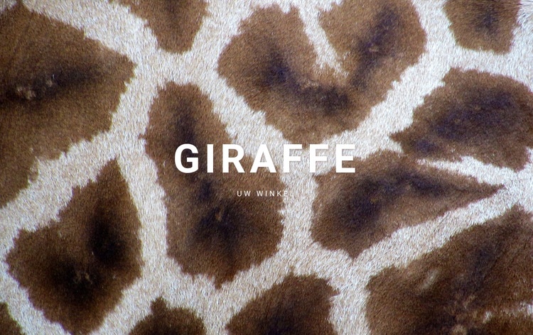  Giraffe feiten Html Website Builder