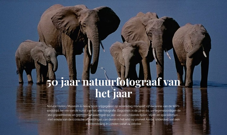 Wildlife fotografie Afrika Sjabloon voor één pagina