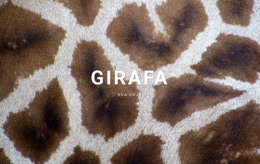 Página Da Web Para Fatos Sobre Girafa