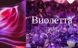 Тенденция Фиолетового Цвета