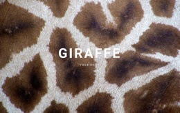 Giraff Fakta - HTML Website Builder