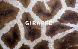 Giraffe Facts - Personal Template