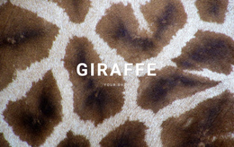 Giraffe Facts Website Builder Software