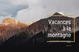 Nous Fournissons Des Guides Professionnels – Conçu Par Des Professionnels