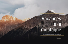 Nous Fournissons Des Guides Professionnels - Thème WordPress Polyvalent Créatif