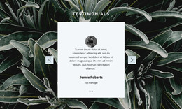 190 Testimonials CSS Templates