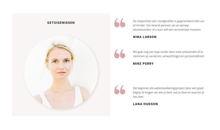 Drie bedrijfsrecensies Website mockup