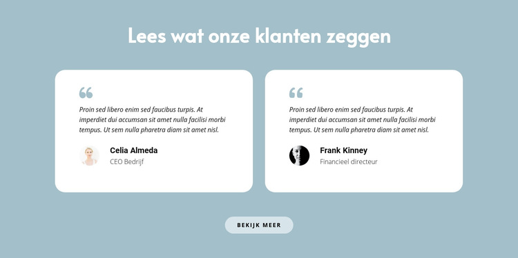 Twee recensies over ons Website sjabloon