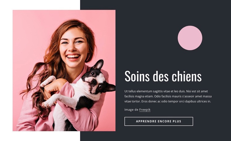 Soins du chiot Modèles de constructeur de sites Web