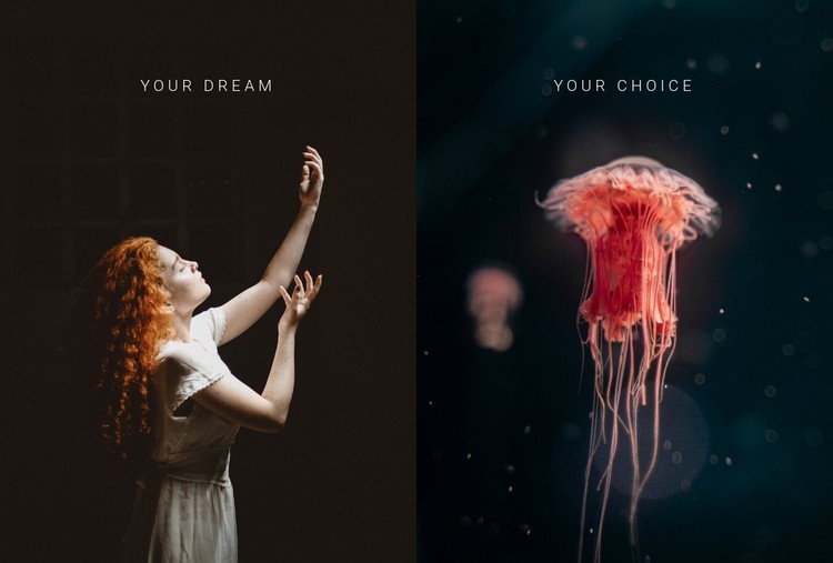 Your dream your choice CSS Template
