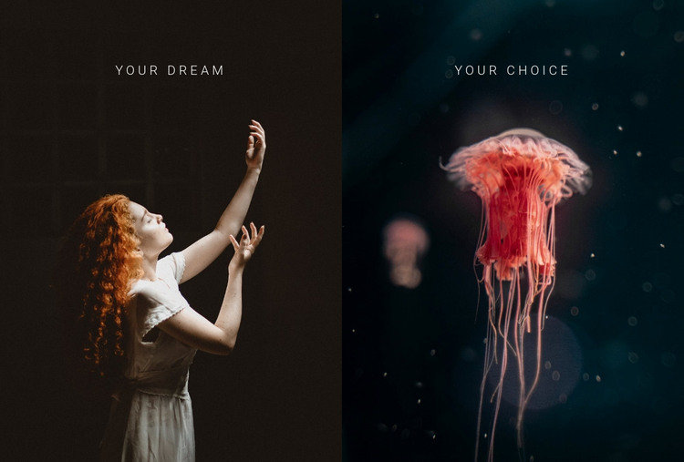 Your dream your choice Homepage Design