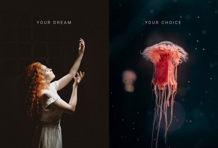 Your dream your choice HTML5 Template