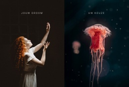 Jouw Droom Jouw Keuze - Aanpasbare Sjabloon