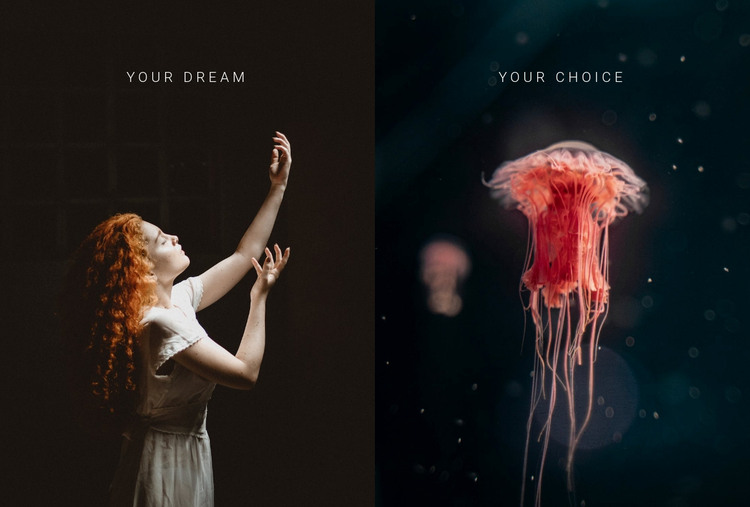 Your dream your choice Web Design